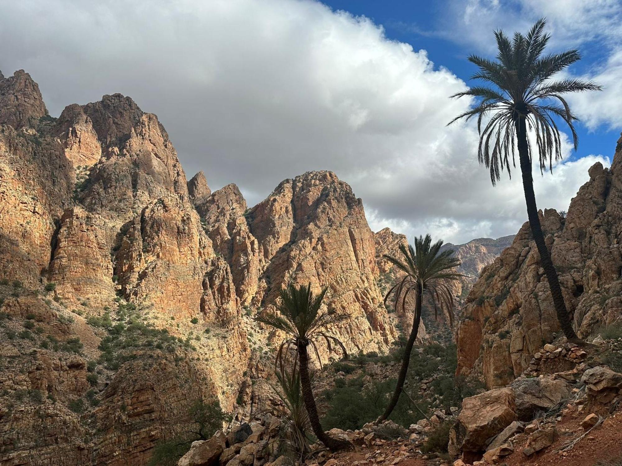 Dar Ajgal Bed and Breakfast Dourtane Buitenkant foto